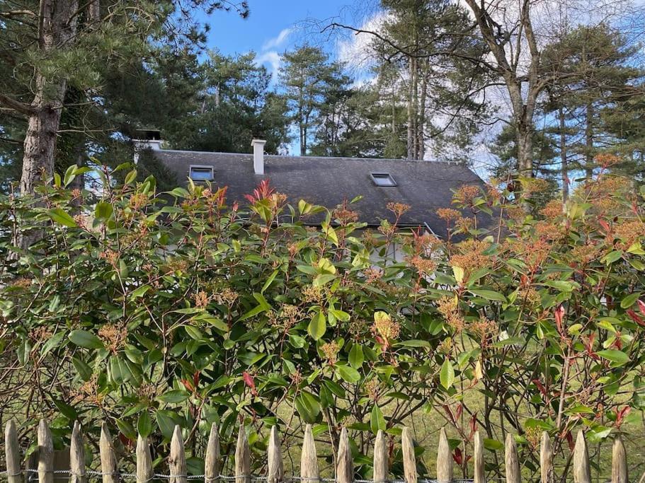 Le Rosa: Villa De Charme Entre Mer Et Pinede Quend Eksteriør billede