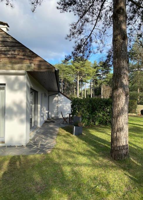 Le Rosa: Villa De Charme Entre Mer Et Pinede Quend Eksteriør billede